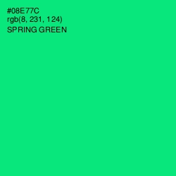 #08E77C - Spring Green Color Image
